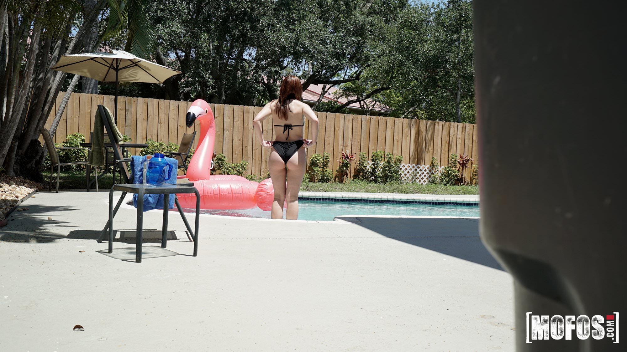 Mofos 'Poolside Peeking' starring Scarlett Johnson (Photo 6)